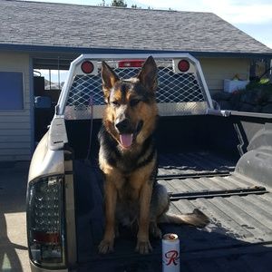 Meet your Posher, Tim